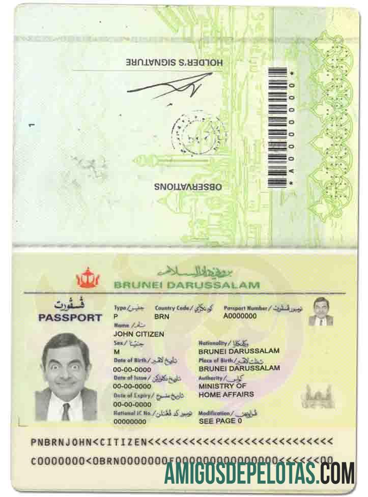 Passaporte Brunei modelo